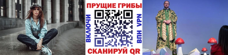 купить закладку Дорогобуж Галлюциногенные грибы GOLDEN TEACHER